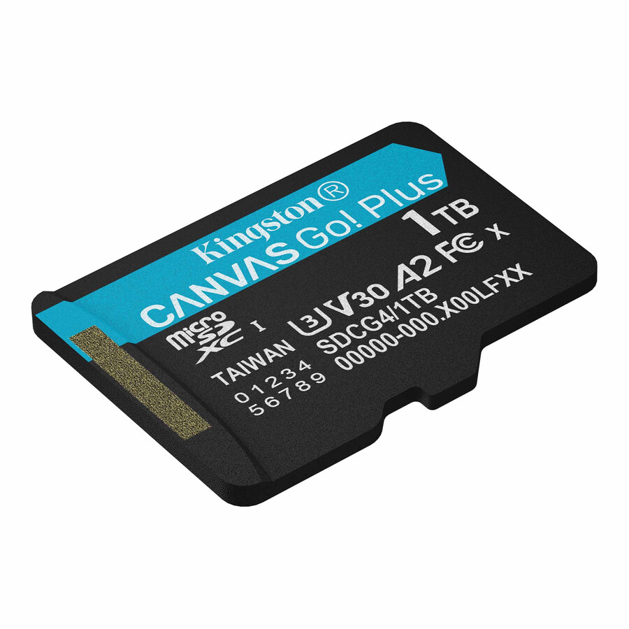 canvas go plus microsd memory card - partnum=sdcg4128gb
