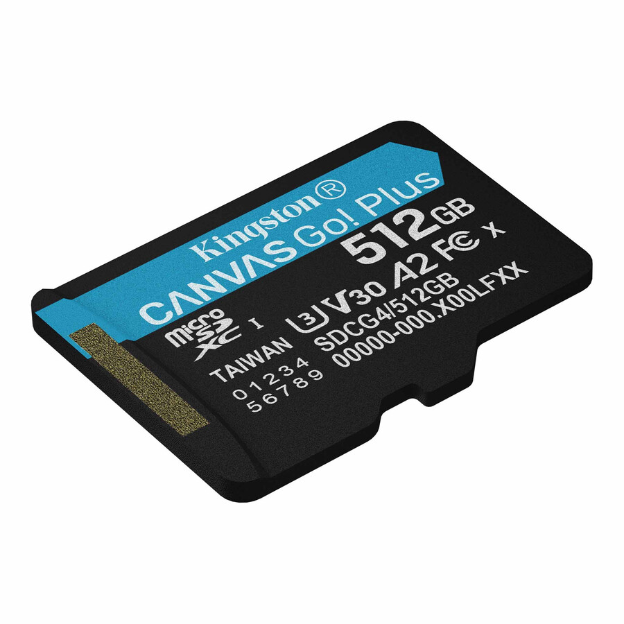 canvas go plus microsd memory card - partnum=sdcg4512gbsp