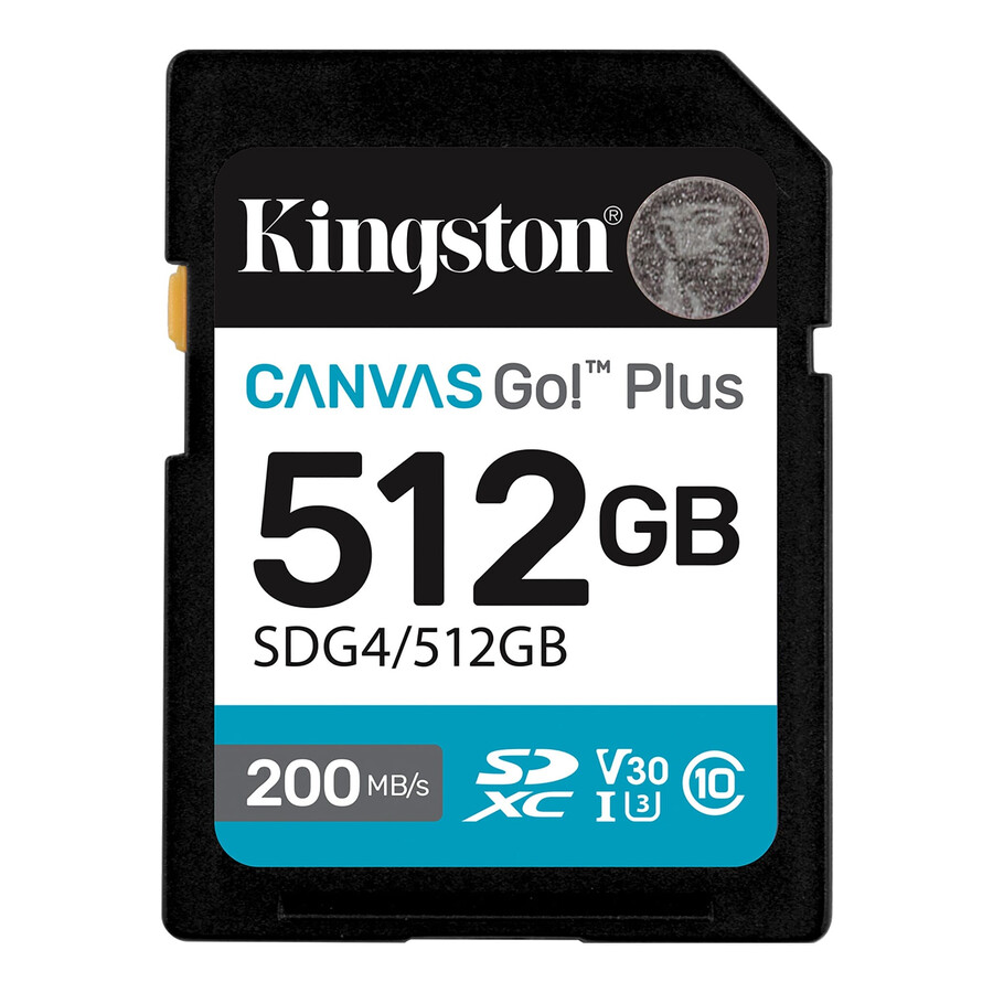canvas go plus sd memory card - partnum=sdg4128gb