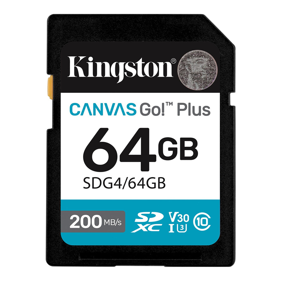 canvas go plus sd memory card - partnum=sdg4256gb