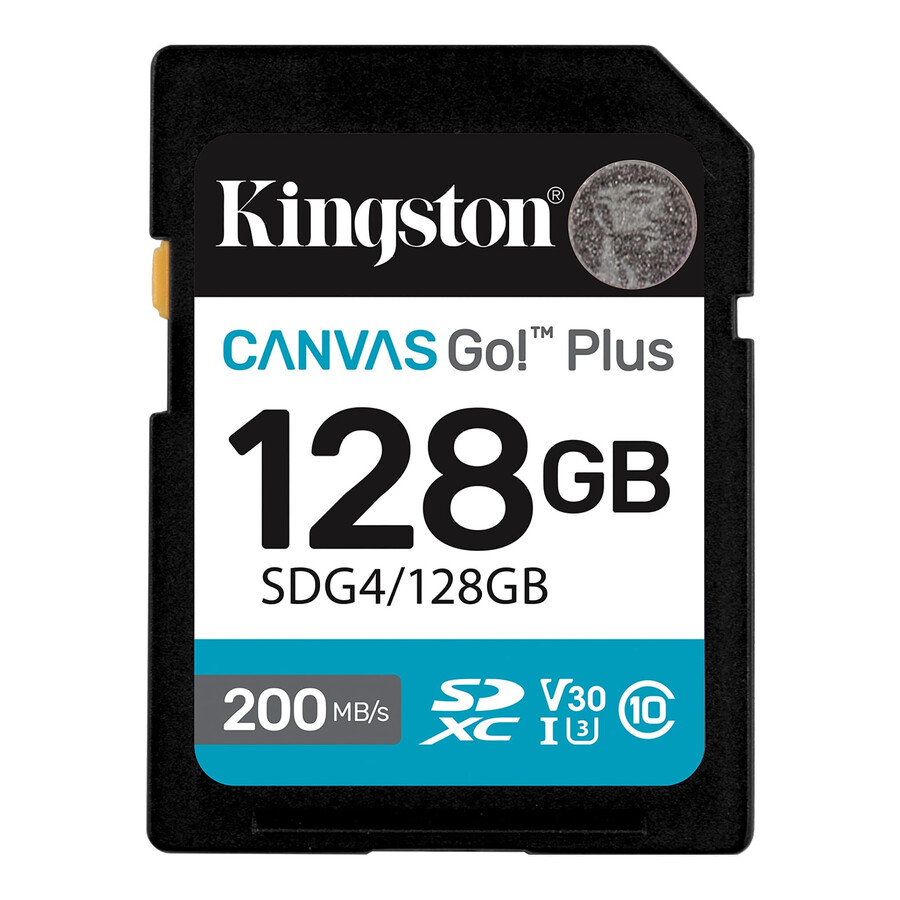 canvas go plus sd memory card - partnum=sdg41tb