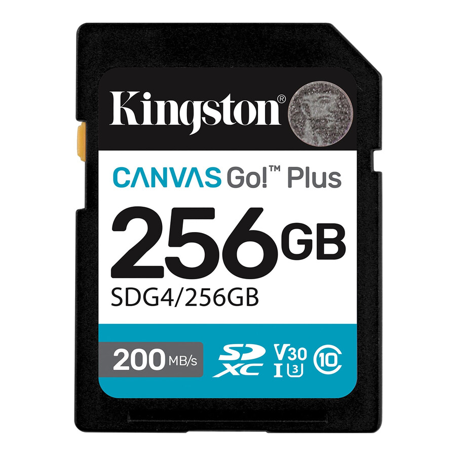 canvas go plus sd memory card - partnum=sdg41tb