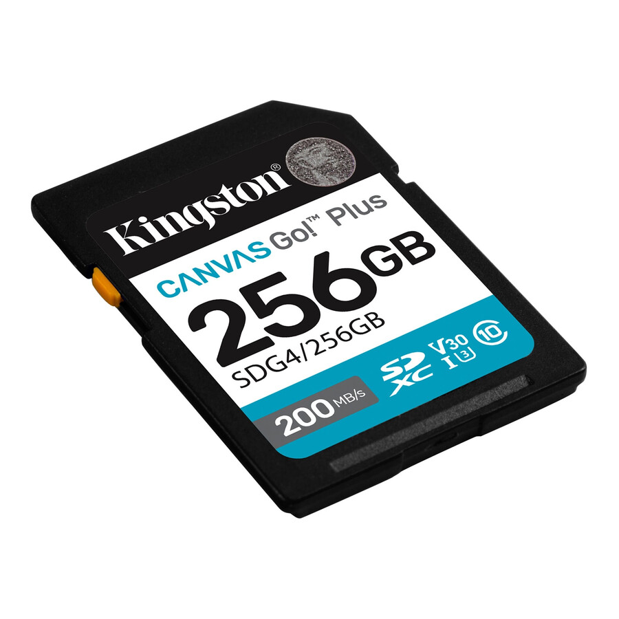 canvas go plus sd memory card - partnum=sdg41tb