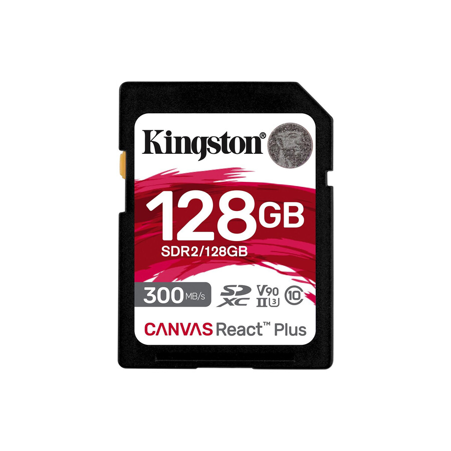 canvas react plus sd memory card - capacity=256gb