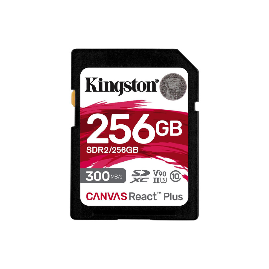 canvas react plus sd memory card - capacity=256gb