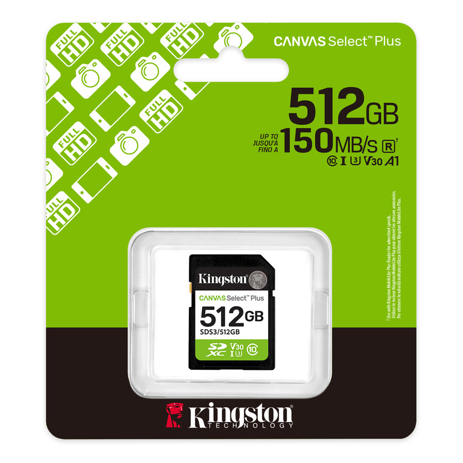 canvas select plus sd memory card - capacity=256gb
